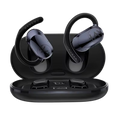 Haylou Airhook 1 Earphones